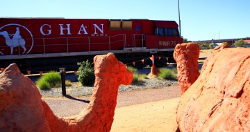 [최치선의 포토에세이] 호주 엘리스 스프링스...호주대륙을 종단하는 GHAN 열차와 낙타