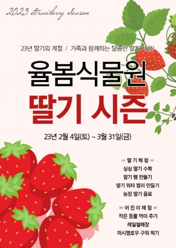 [광주]율봄식물원...딸기수확체험 3월31일 종료