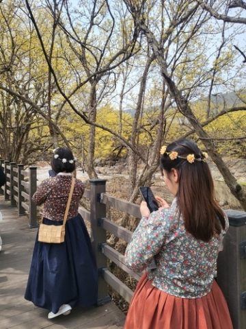 구례군, 구례·곡성·하동·광양 연계 봄꽃 여행 모바일 스탬프 투어 인기