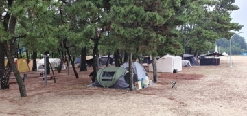 [전남] 보성군, 모두가 즐거운 율포솔밭해수욕장 '장박 텐트 단속