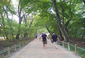함양 상림공원, 걷기 좋은 명품숲길 50선에 선정...함화루에서 물레방아까지 약 1.2㎞ 맨발걷기 구간 인기
