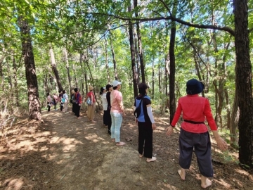 "수원시의 숲속 힐링 파티: 산림치유 프로그램, 시민 1200명이 이미 참가"
