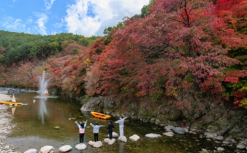 [태백시] '제13회 철암단풍축제', 가을의 정취와 다채로운 체험으로 관광객 마음 사로잡아