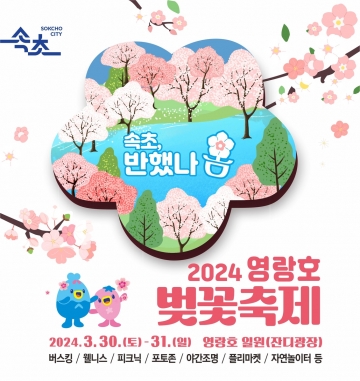 [속초시] 제1회 2024 영랑호 벚꽃축제...3월 30일~31일