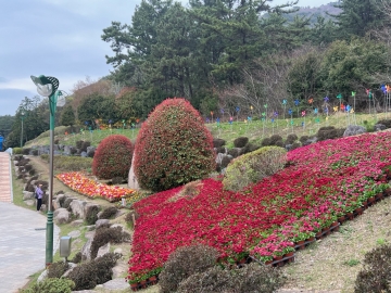 거제시 독봉산 웰빙공원, 형형색색 봄꽃으로 새단장