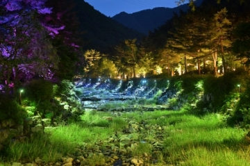 [강릉] 자연과 빛이 하나되는 강릉솔향수목원의 밤을 즐겨요…6월부터 야간 개장