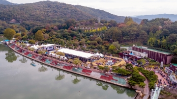 제15회 대전효문화뿌리축제, 뿌리공원...10월 11일~13일