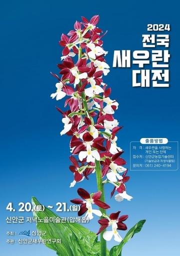 [신안군] '새우란 대전'으로 자생란의 아름다움 전시...4월 20일~21일